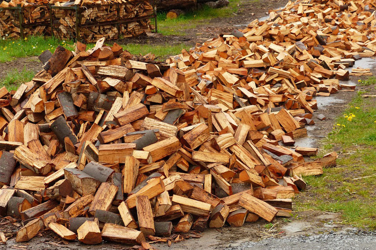 Exploring Different Types of Firewood