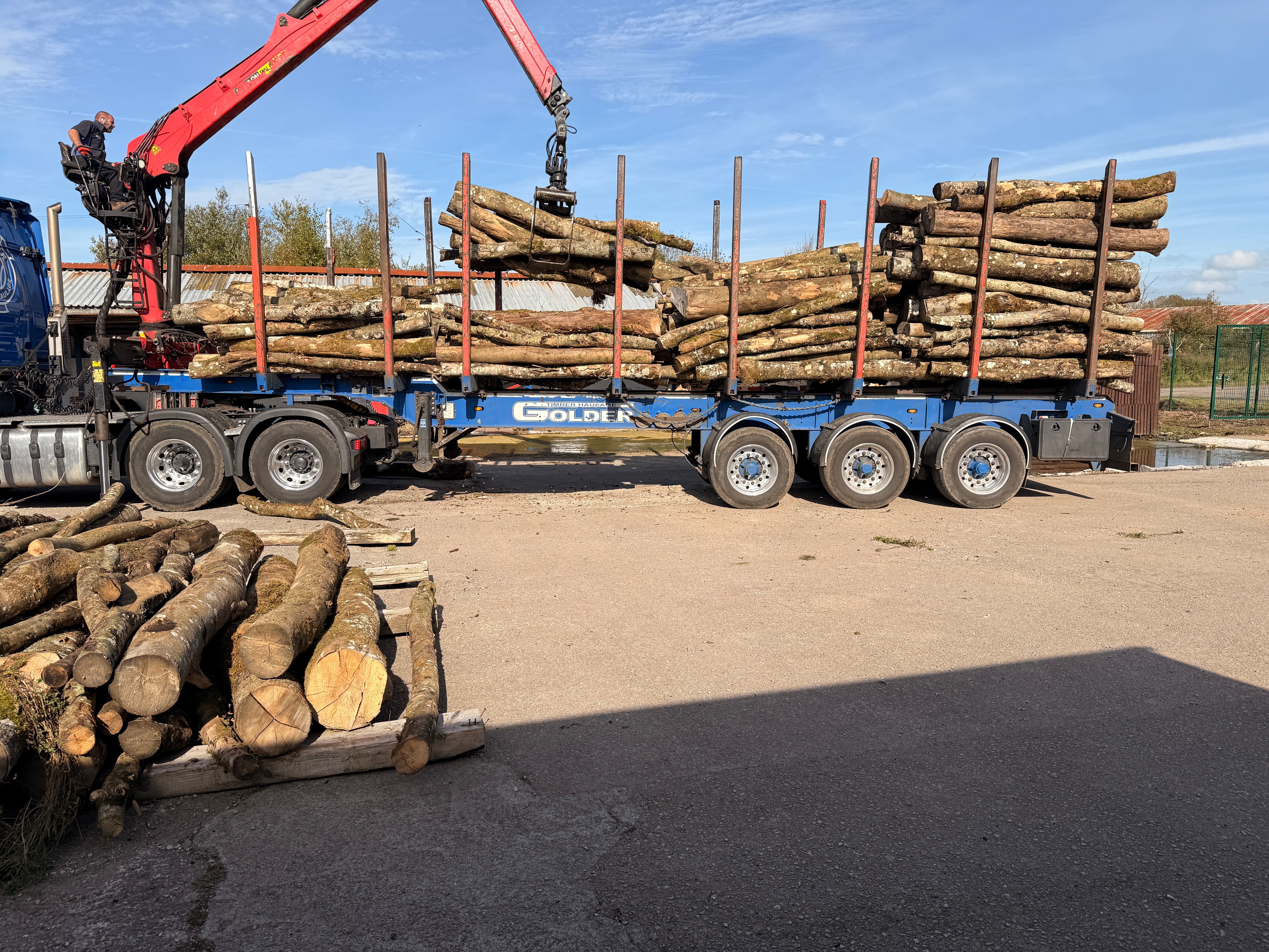 Lorry load is Ash Logs