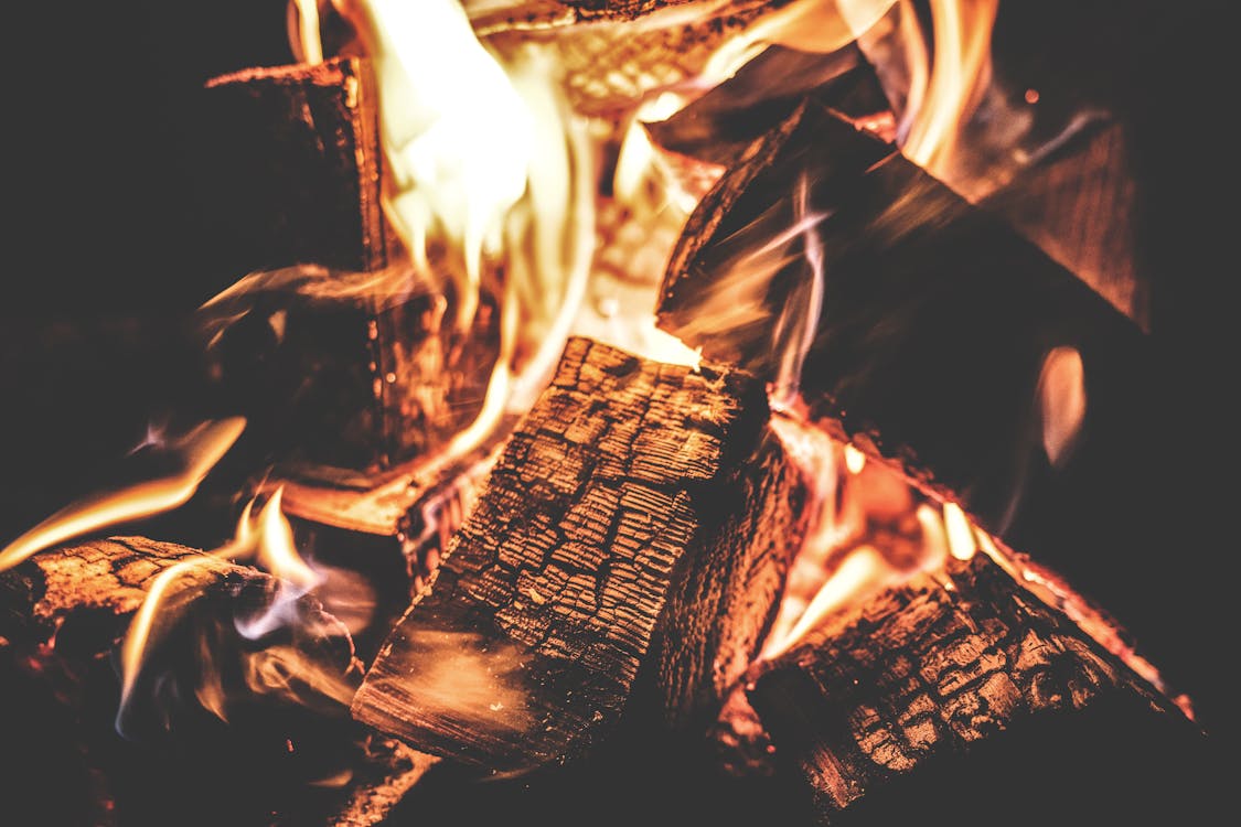 The Ultimate Guide to Choosing the Best Firewood for Your Home