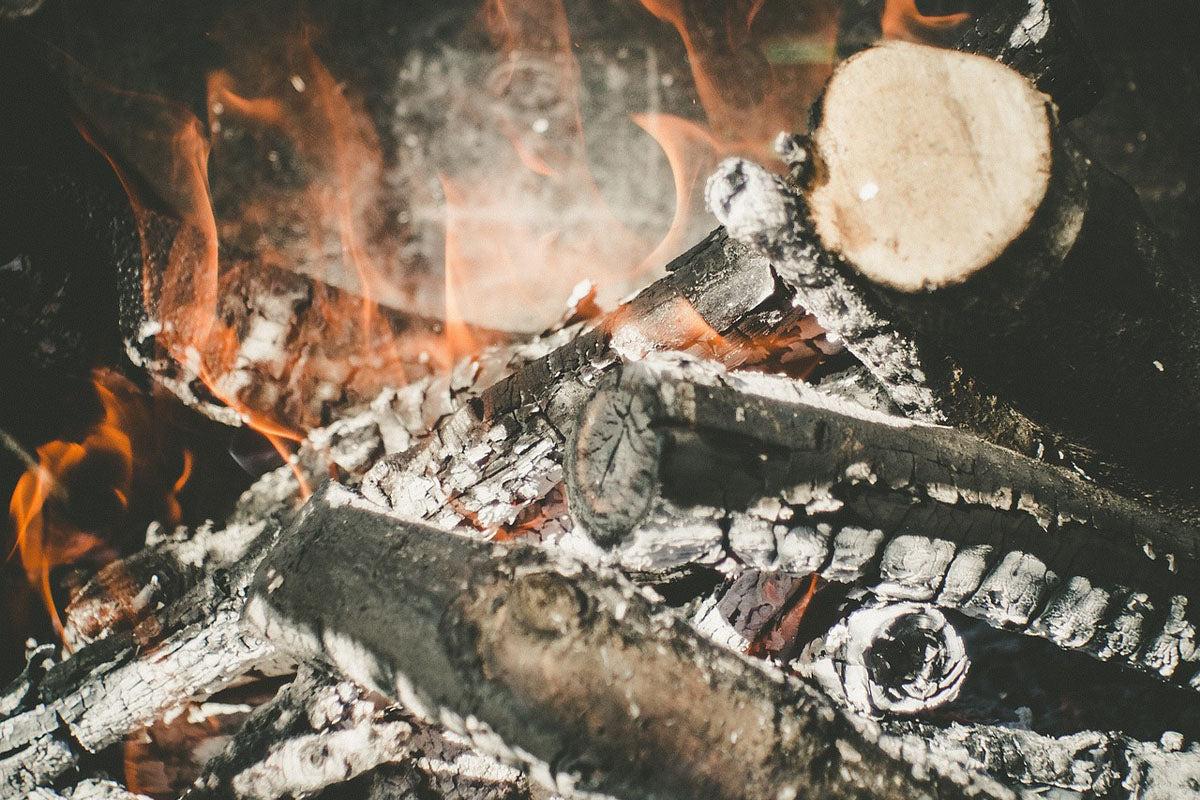 The Ultimate Guide to Choosing the Best Firewood for Your Home