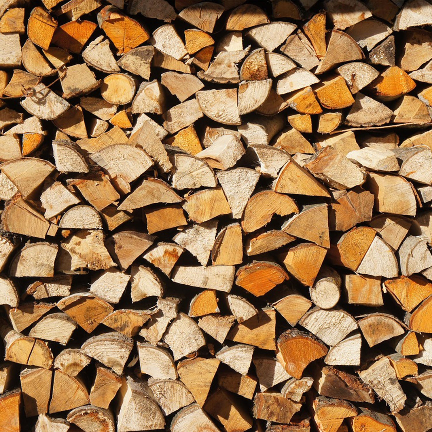 Firewood Logs