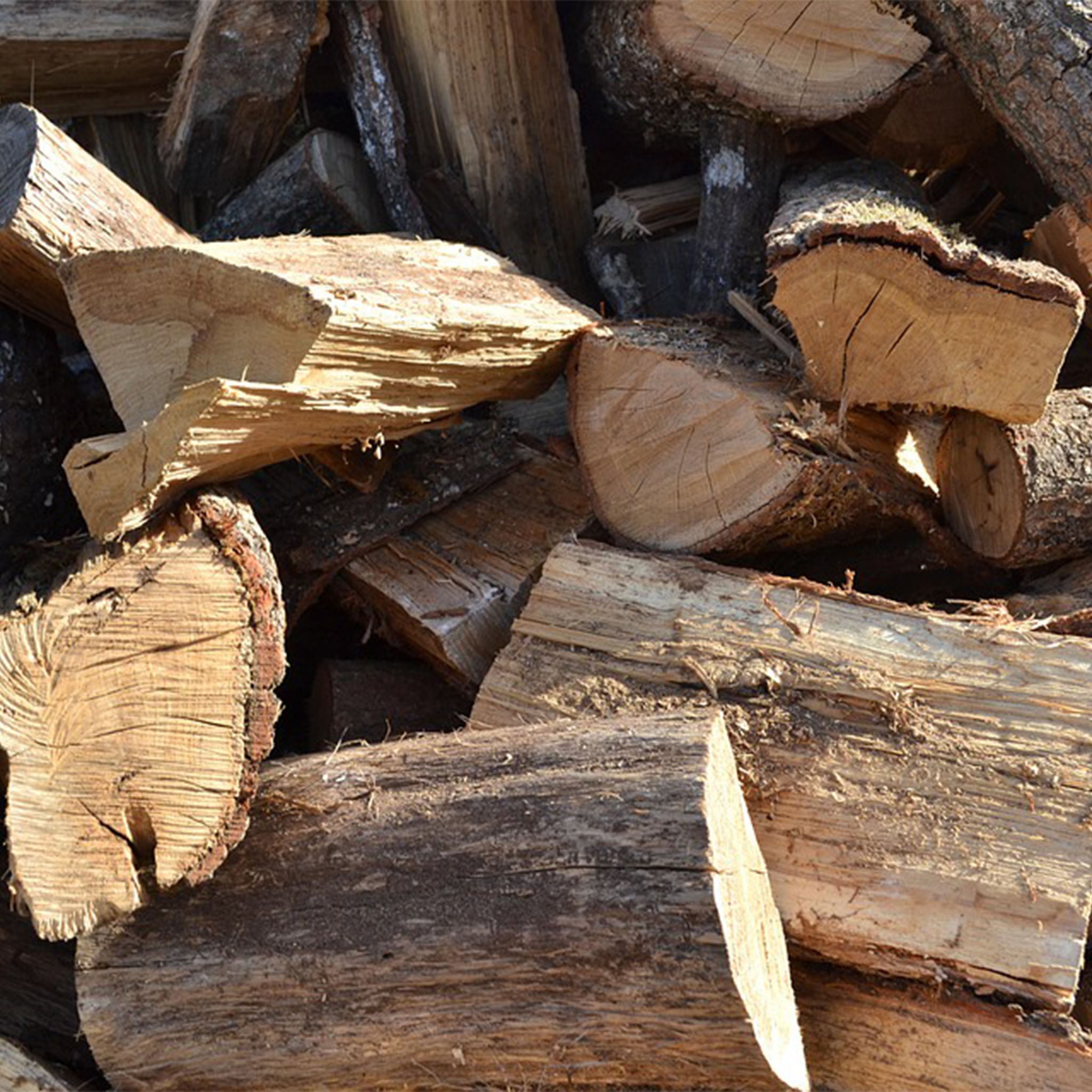 Stack of chopped wood logs