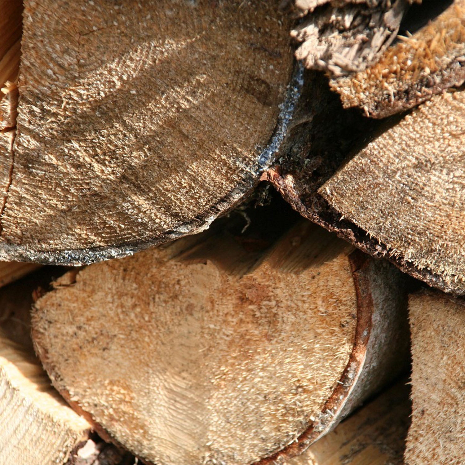 Firewood