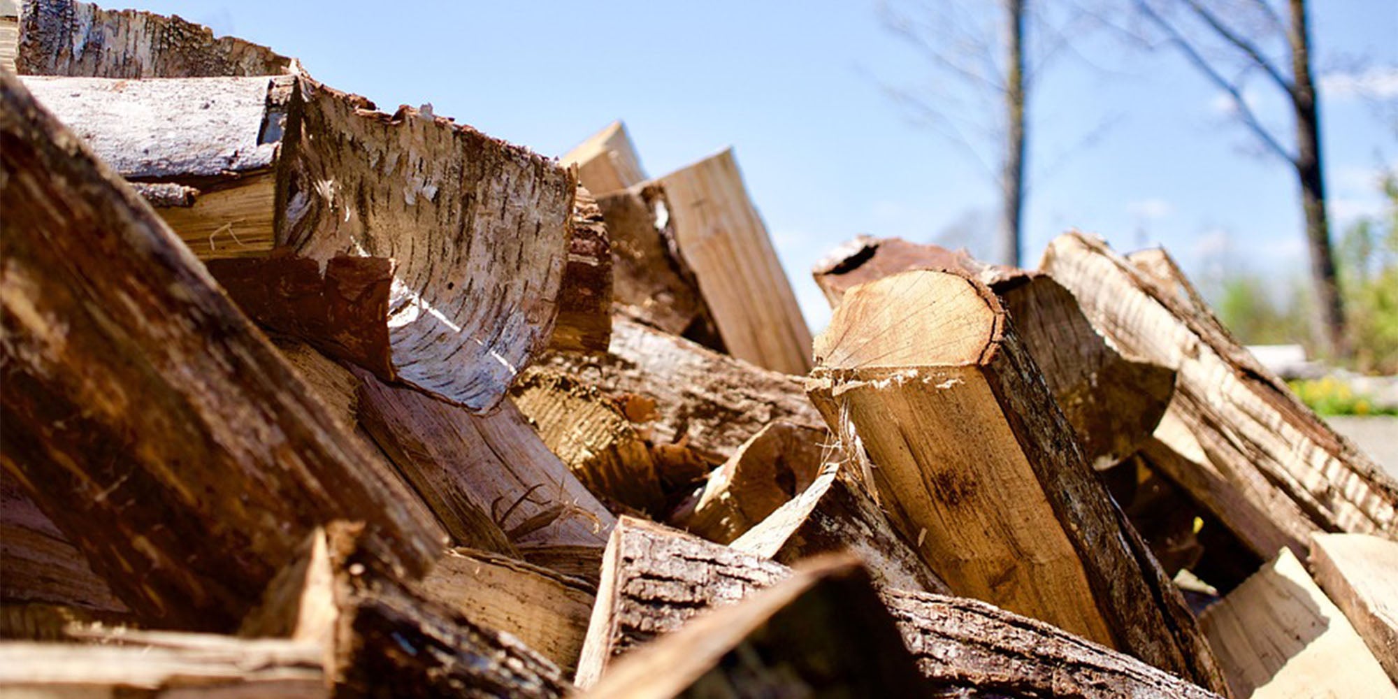 Firewood Logs