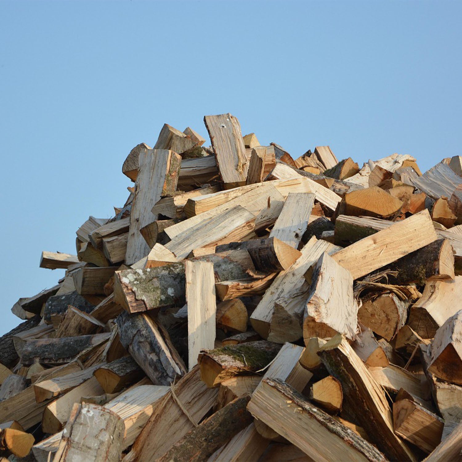 Firewood Logs 