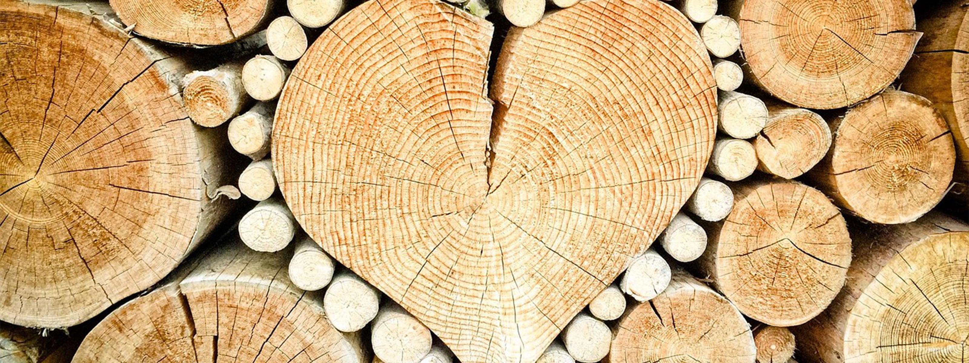 Firewood