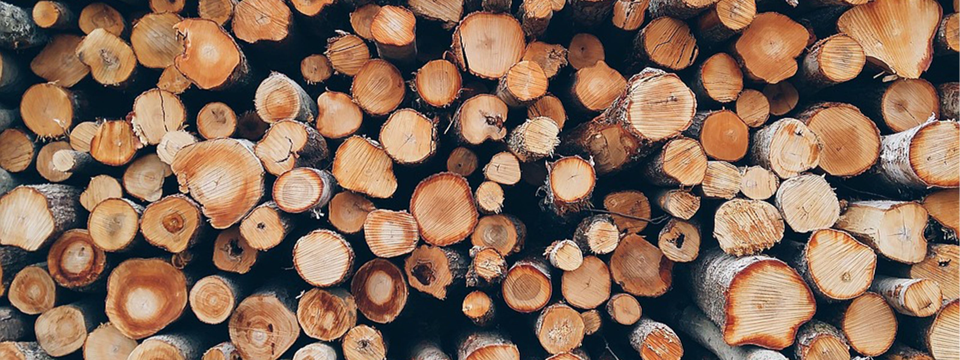 Firewood Stacked
